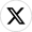 X icon (1)